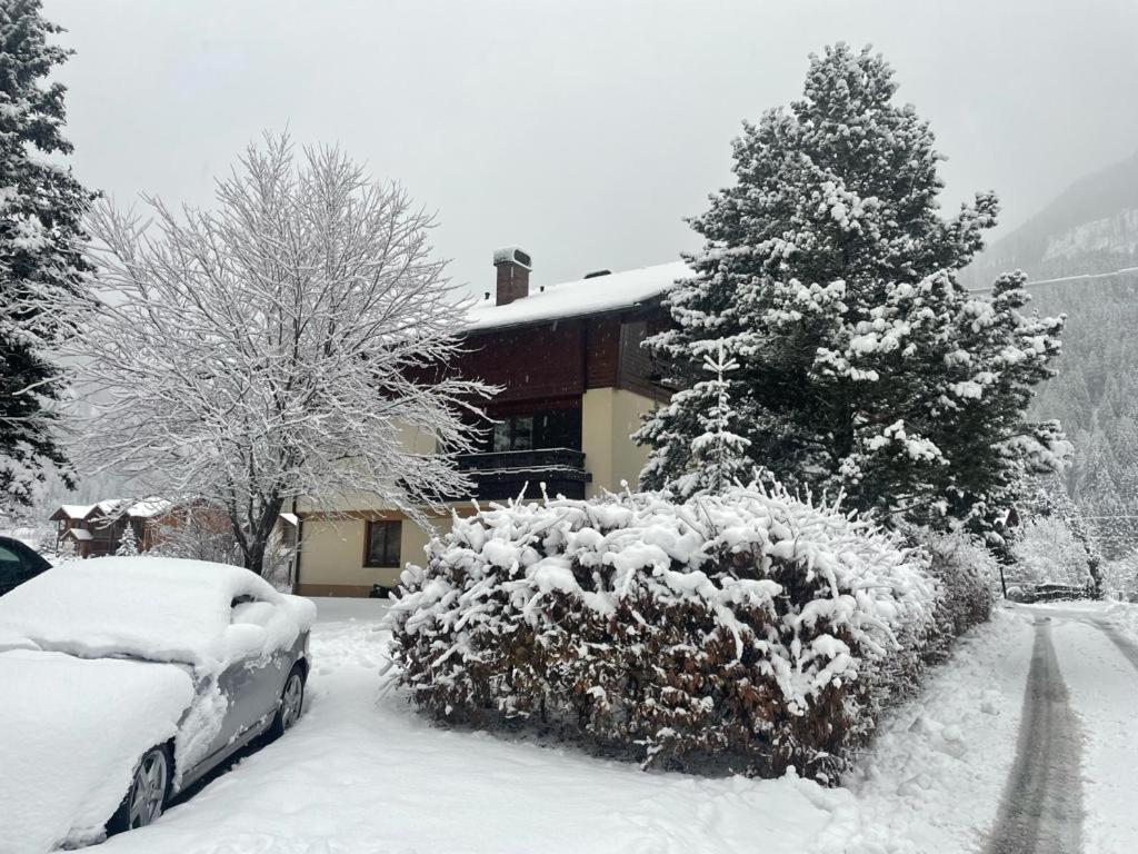 Haus Karin Mallnitz Exterior photo